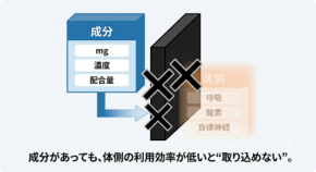 サプリの効果が出ない原因とは？呼吸物理と生理学から紐解く体内環境の重要性