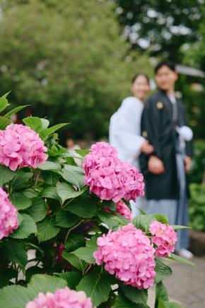 肥後細川庭園での和装前撮りが10万円以下に。INAI WEDDING WASOU浅草本店が新プランをリリース