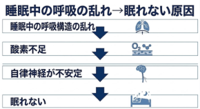 不眠症の原因は呼吸の乱れ?トラタニが提唱する睡眠中の呼吸構造のメカニズム