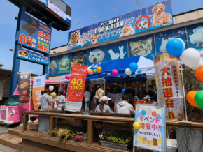 アセンディアとCoo&RIKUがペット飼育家庭に向けたエネルギー対策催事を開催