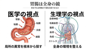 胃腸の不調は睡眠中の呼吸が原因？細胞再生を妨げる体内環境のメカニズム