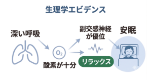 睡眠の質は呼吸で決まる。トラタニが解明した睡眠中の呼吸を弱める6つの要因