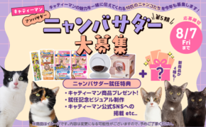 キャティーマンの魅力を発信「第5期ニャンバサダー」10匹を募集
