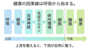免疫低下の要因を睡眠中の呼吸構造から解明、トラタニが独自の技術で可視化