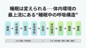 不眠の原因は呼吸構造にあり？トラタニが解明した睡眠の物理学