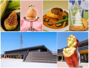 道の駅常総で「HOT&COOL祭り」開催