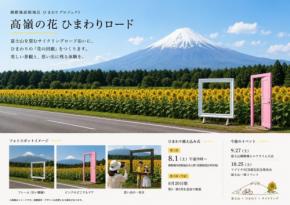 富士山一周サイクリングルート「フジイチ」沿線に「高嶺の花 ひまわりロード」が誕生