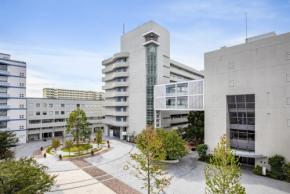 昭和女子大学が2028年4月に食理学部を新設し4学科体制へ再編を構想