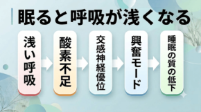 睡眠の質を左右する「呼吸構造」のメカニズムをトラタニが解明