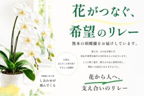 熊本復興を花でつなぐ「フラワーリレープロジェクト」が始動