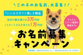わんわんリゾート 粟津の看板犬オブジェの名前をSNSで募集