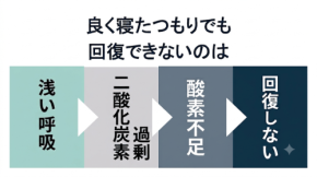 睡眠中の呼吸と二酸化炭素の関係性とは？眠りの質を下げる構造を解説