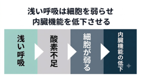 睡眠中の酸素不足が細胞を変形させるメカニズムとは