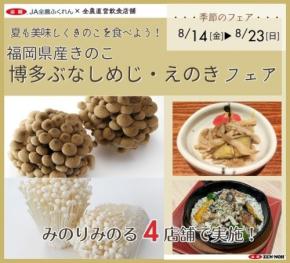 JA全農が福岡県産きのこフェアを開催