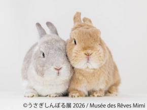 うさぎの祭典「うさぎしんぼる展 2026」開催！10周年を記念した限定企画やグッズが勢揃い