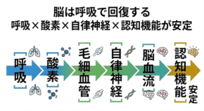 脳の認知機能を支える「上流構造」とは?トラタニが解説シリーズ第9回を公開