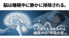 トラタニが認知機能低下と脳の排出システムを解説する連載第10回を公開