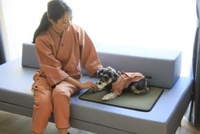 ゆるり熱海with DOGSが愛犬のための整体マッサージを開始