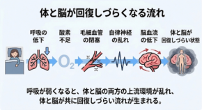 睡眠中の呼吸から脳の環境を整える「回復ルート」の仕組みを解説