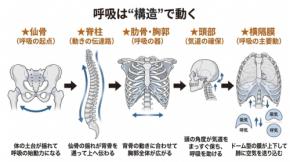 「よく眠れるのに疲れが取れない」爆睡型睡眠の正体とは