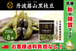 丹波篠山黒枝豆の予約販売が開始