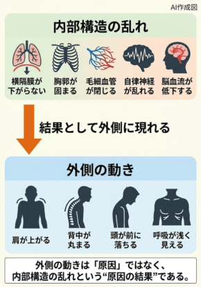 睡眠中の呼吸を整えて脳を回復させる、内部構造の改善技術とは