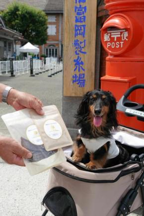 世界文化遺産「富岡製糸場」のペット同伴入場数が5,555匹に到達