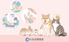 S-QUE愛玩動物看護ラダー別研修にエキゾチックアニマル学を新設