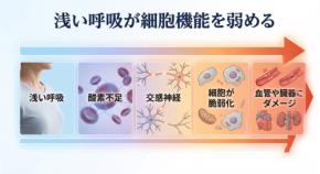 睡眠中の呼吸弱化が招く健康リスクと立体構造寝具の重要性