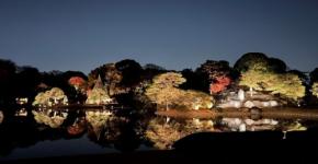 六義園で紅葉の夜間特別観賞を開催