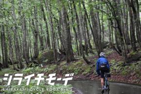 白神山地を巡る自転車旅「シライチモーデ2026」開催