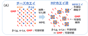 雪印メグミルクがチーズ副産物からのグリコマクロペプチド濃縮技術を開発