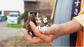 上越市産農産物の販路を市民がつなぐ「ふるサポ上越」が東京・根津でコラボイベントを開催