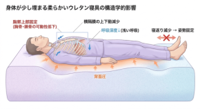 ウレタン寝具が胸郭に与える影響と呼吸のメカニズム