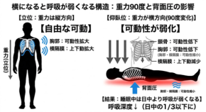 睡眠時の呼吸が浅くなる原因とは?トラタニが解明する重力90度の構造