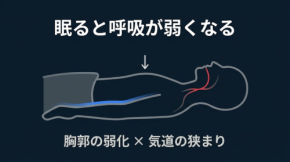 睡眠中の呼吸の質を左右する構造的要因とは