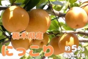 JAタウン「とちぎ新鮮倉庫」で栃木県産オリジナル梨「にっこり」の予約販売開始