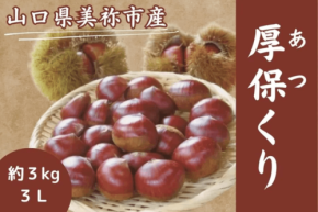山口県美祢市のブランド栗「厚保くり」の予約販売がスタート