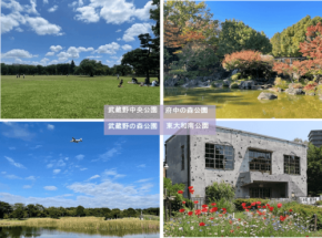 都立公園で学ぶ戦争遺跡と歴史ガイドツアー開催