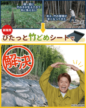 放置竹林の拡大を抑制する「ぴたっと竹どめシート」が発売