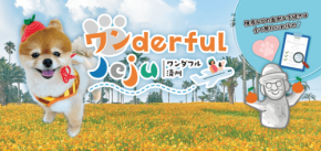 愛犬と楽しむ韓国リゾート旅「ワンderful Jeju」初開催とPet博2026大阪での相談会