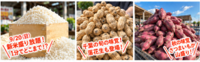 道の駅木更津うまくたの里で秋の大収穫祭を開催