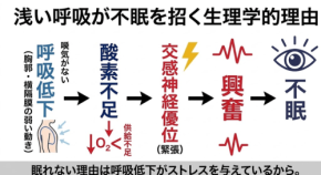 不眠の原因は夜の呼吸にあり?トラタニが明かす眠りのメカニズム