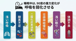 ウレタン寝具が呼吸に与える影響とは?トラタニが構造を解説