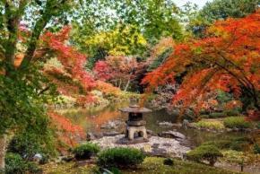 旧古河庭園で秋バラと紅葉の競演を楽しむイベント開催