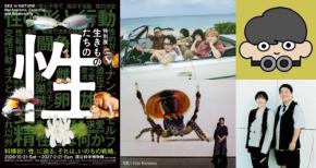 国立科学博物館で特別展「生きものたちの性」が10月31日開幕