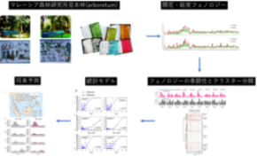 気候変動は東南アジアの熱帯雨林樹木の開花・結実頻度を減少させる