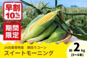 兵庫県産「スイートモーニング」の予約販売開始！ 先着100箱限定で早割価格10％OFF！今年から新規格登場。