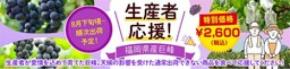 ぶどうを食べて生産者を応援！ＪＡタウン「博多うまかショップ」で規格外の「福岡県産巨峰」を販売！