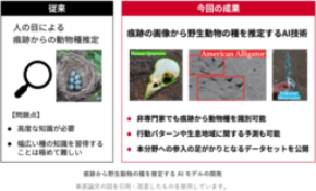 野生動物の多様な“痕跡”の画像から種の推定を可能にするAIモデルを開発